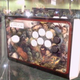 Illustration for article titled Mad Catz Street Fighter IV Sticks Under Glass